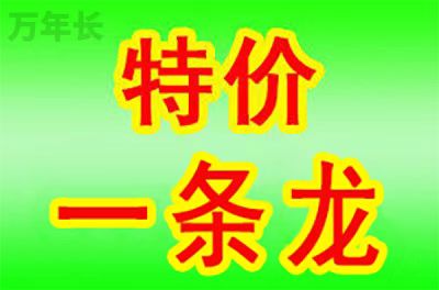 福州福建省福州市闽清县知名墓地在哪里？